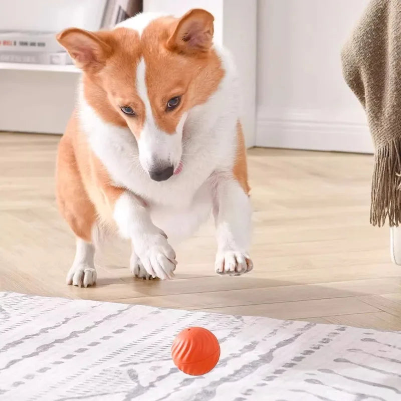 Pelota USB móvil automática para mascotas