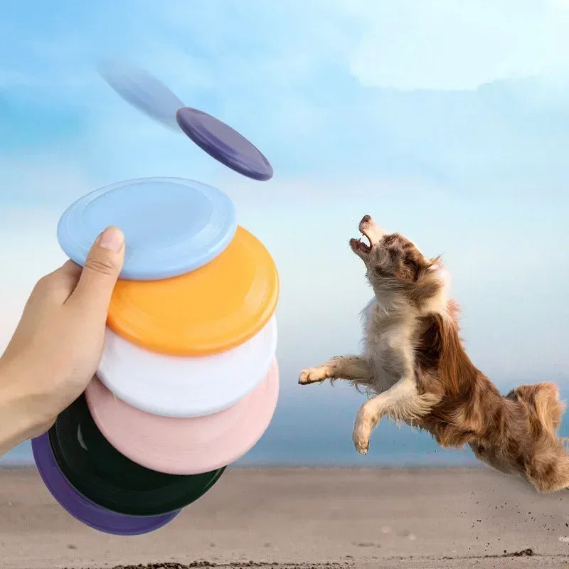Frisbee para perros