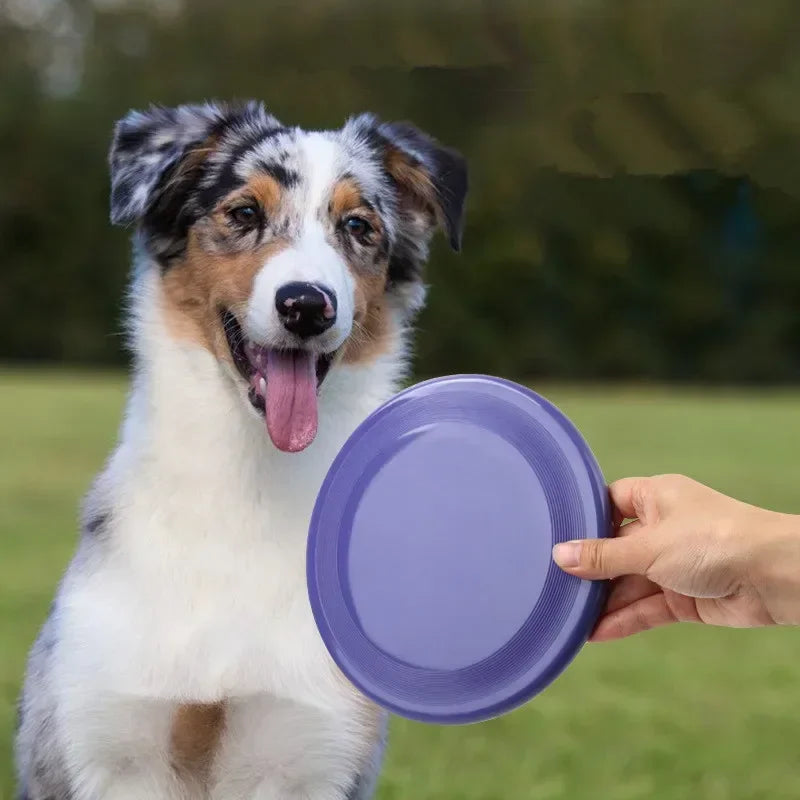 Frisbee para perros