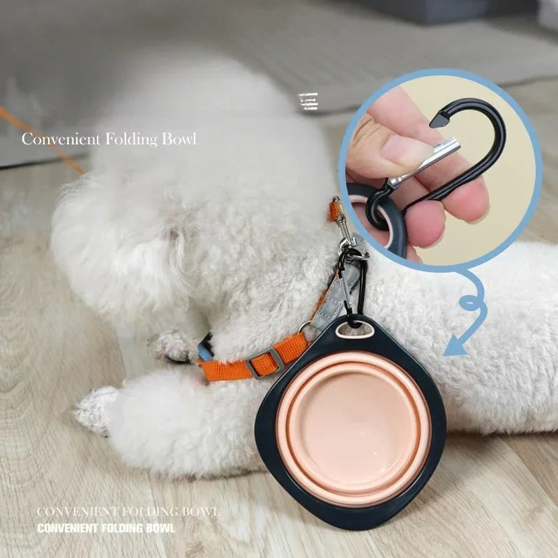 Bowl retraíble para transporte