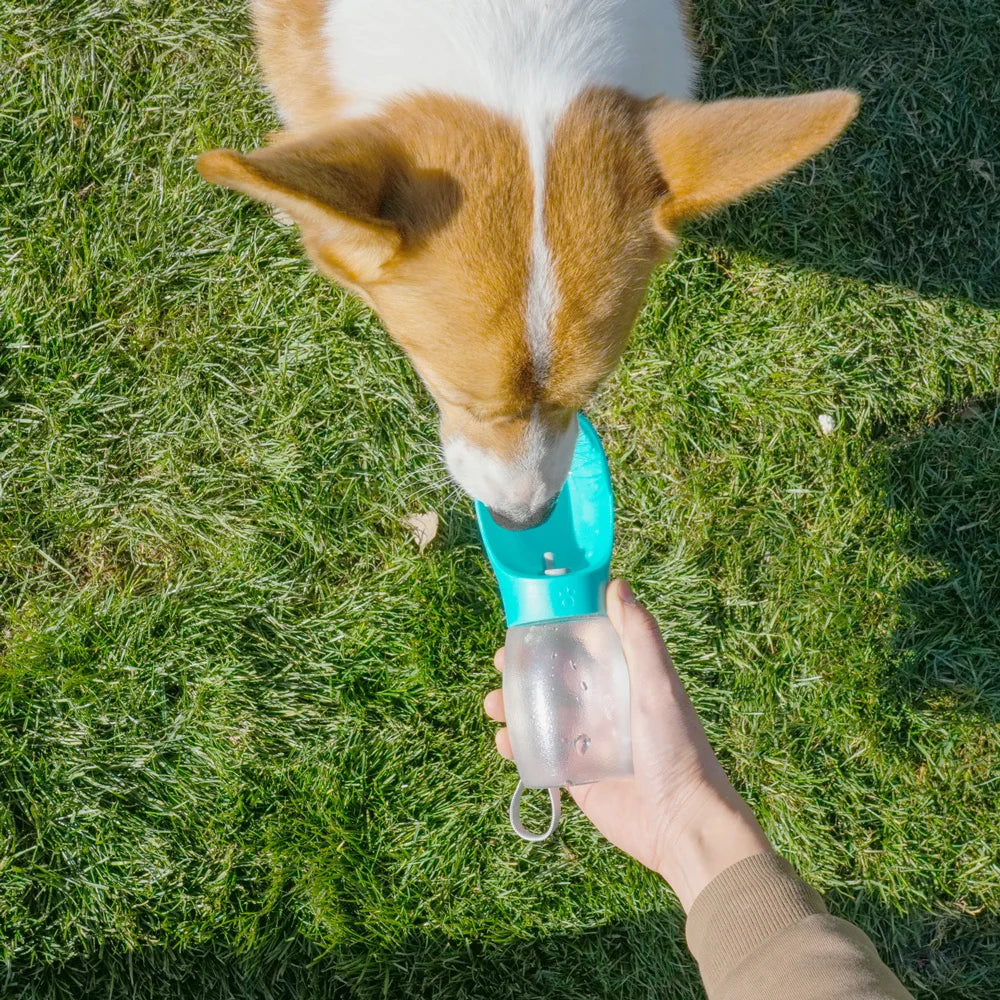 Bebedero portátil para perros y gatos