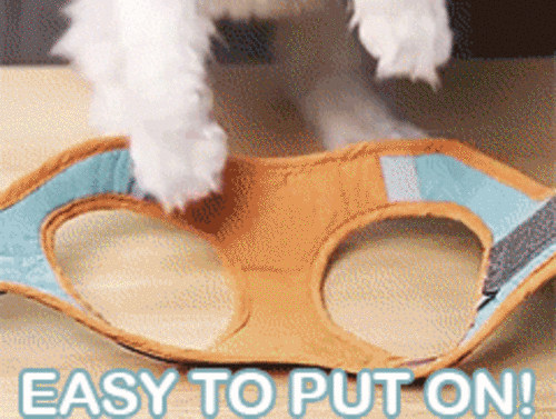 Arnés ajustable con correa y chaleco reflectante para Gatos