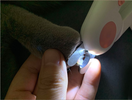 Cortauñas para mascotas con luz LED para gatos