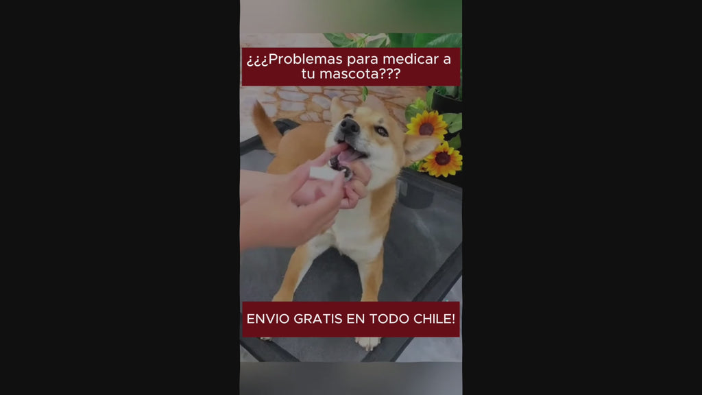 Jeringa dispensadora de medicamentos.