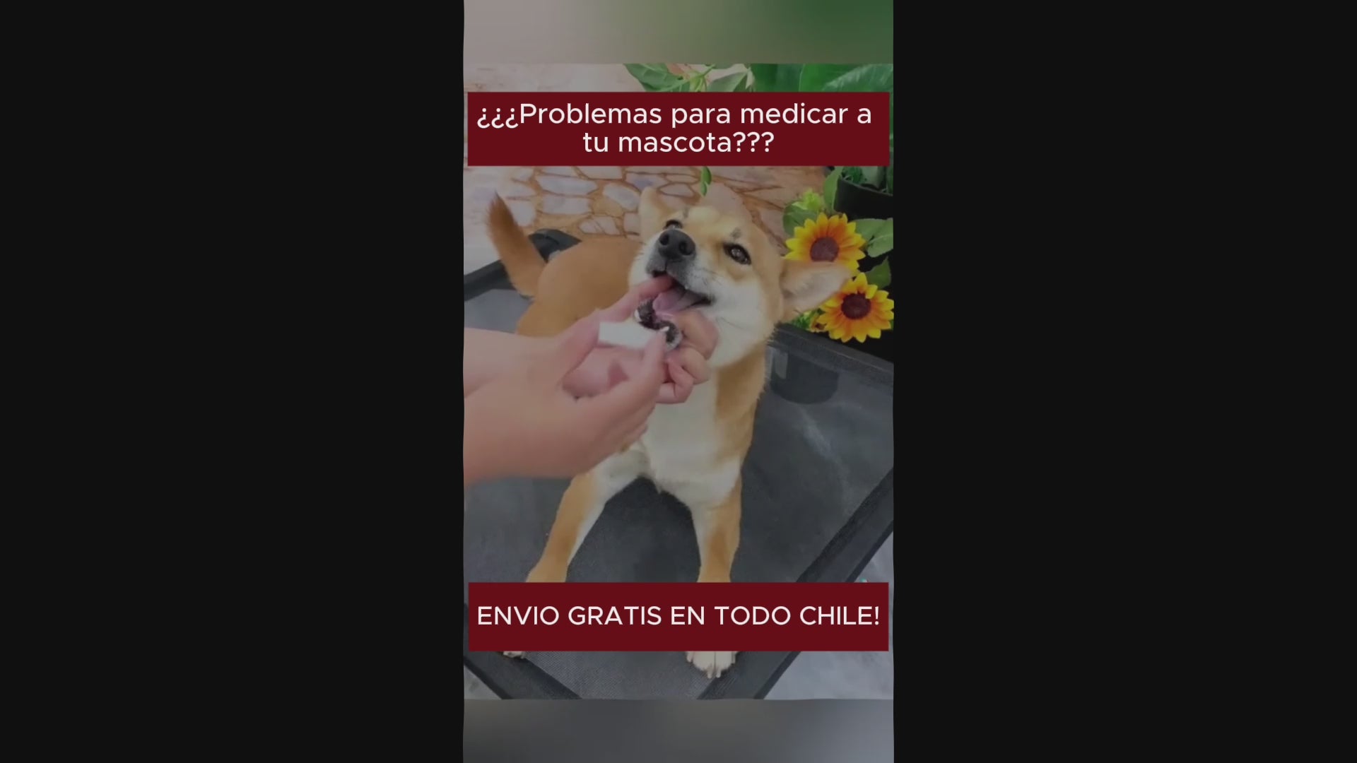 Jeringa dispensadora de medicamentos.