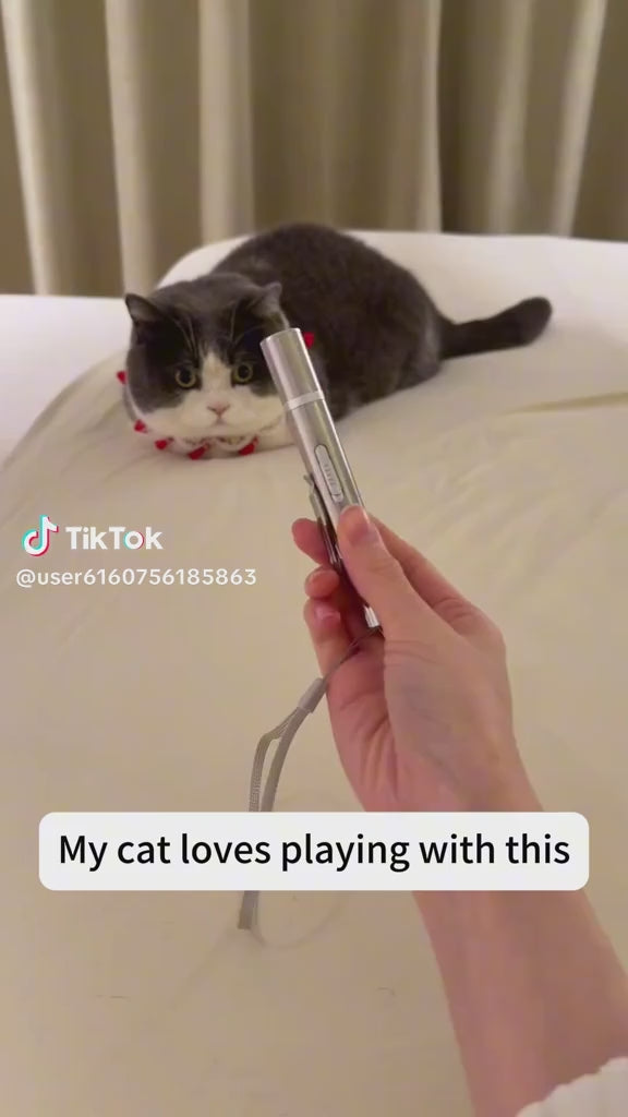 Láser LED para Gatos (5 modos)